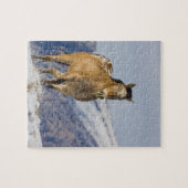 Paarden rennen in de sneeuw legpuzzel (Horizontaal)