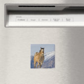 Paarden rennen in de sneeuw magneet (Insitu (Vaatwasser))