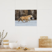 Paarden rennen in de sneeuw poster (Keuken)