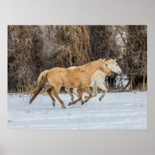 Paarden rennen in de sneeuw poster