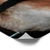 Paarden rennen paard getrokken koets poster foto (Hoek)