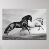 Paarden rennen poster (Voorkant)