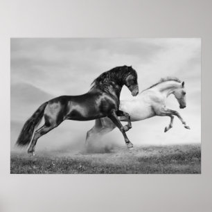 Paarden rennen poster