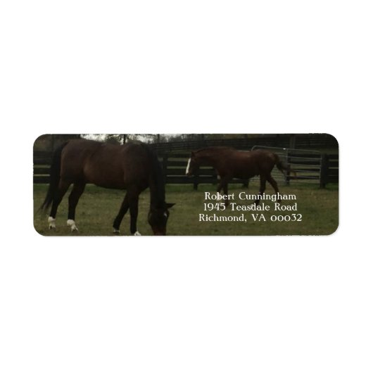 Paarden Retouradreslabels Etiket (Voorkant)