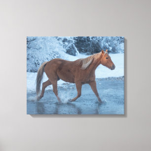 Paarden rijden in de winter op Hideout Ranc Canvas Afdruk