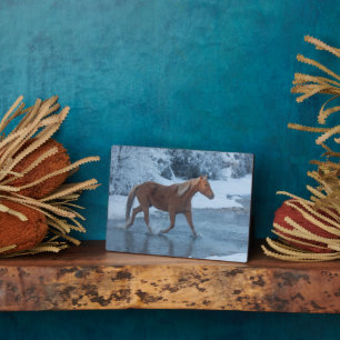 Paarden rijden in de winter op Hideout Ranc Fotoplaat