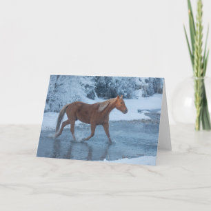 Paarden rijden in de winter op Hideout Ranc Kaart