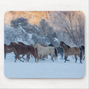 Paarden rijden in de winter op Hideout Ranch Muismat