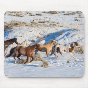 Paarden rijden in de winter op Hideout Ranch Muismat