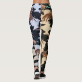 PAARDEN RINNENDE BROEK LEGGINGS (Achterkant)