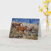 Paarden Roaming the Hills Kaart (Gele Bloem)