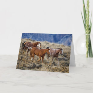 Paarden Roaming the Hills Kaart