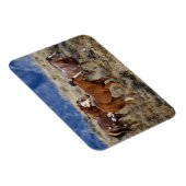 Paarden Roaming the Hills Magneet (Rechterzijde)