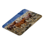 Paarden Roaming the Hills Magneet (Linkerzijde)