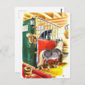  paarden ruitersport briefkaart (Voorkant / Achterkant)