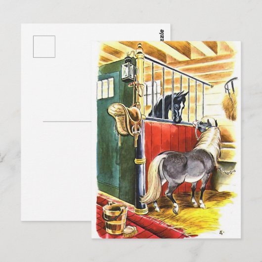  paarden ruitersport briefkaart (Voorkant / Achterkant)