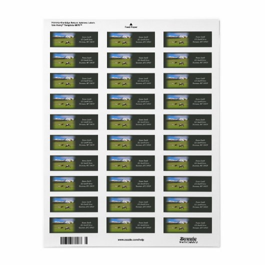 Paarden Rustadres Etiket (Full Sheet)