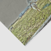 Paarden Rustisch Land Western Boerderij ontkoppeli Tissuepapier (Detail)