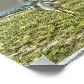 Paarden Rustisch Land Western Equestriaans Boerder Poster (Hoek)