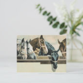 Paarden samen briefkaart (Staand voorkant)