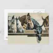 Paarden samen briefkaart (Voorkant / Achterkant)