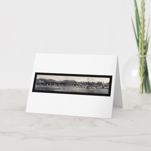 Paarden Santa Anita Foto 1908 Feestdagen Kaart (Voorkant)