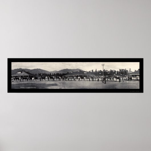 Paarden Santa Anita Foto 1908 Poster (Voorkant)
