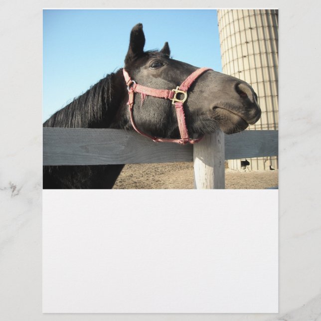 Paarden/schaal/schuur (Voorkant)