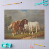 Paarden schilderen tissuepapier (Craft)