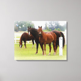 Paarden/schroot van Canvas Afdruk
