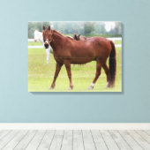 Paarden/schroot van Canvas Afdruk (Insitu (Houten vloer))