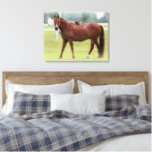 Paarden/schroot van Canvas Afdruk (Insitu (Slaapkamer))