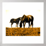 Paarden Sepia Pop Art Square Poster Print<br><div class="desc">Pop Art Horses Silhouetten - Sepia Toned Horse Silhouettes / Pop Art Horses - Boerderijdieren / Horses Comic Style Digital Pop Art Artwork - Pop Art Horse Digital Posters Prints</div>