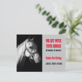 Paarden Sitter Business Postcard Mailer of Handout Briefkaart (Staand voorkant)