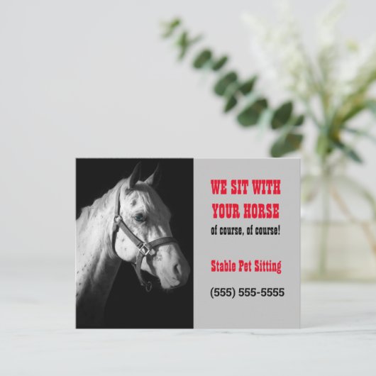 Paarden Sitter Business Postcard Mailer of Handout Briefkaart (Staand voorkant)