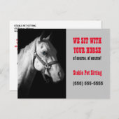 Paarden Sitter Business Postcard Mailer of Handout Briefkaart (Voorkant / Achterkant)