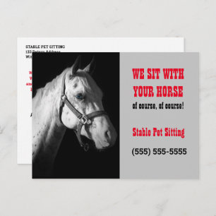 Paarden Sitter Business Postcard Mailer of Handout Briefkaart