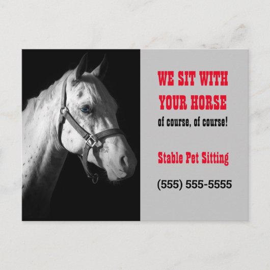 Paarden Sitter Business Postcard Mailer of Handout Briefkaart (Voorkant)