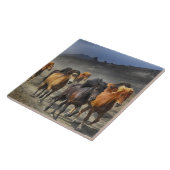 paarden spoor tegel tegeltje (Zijkant)