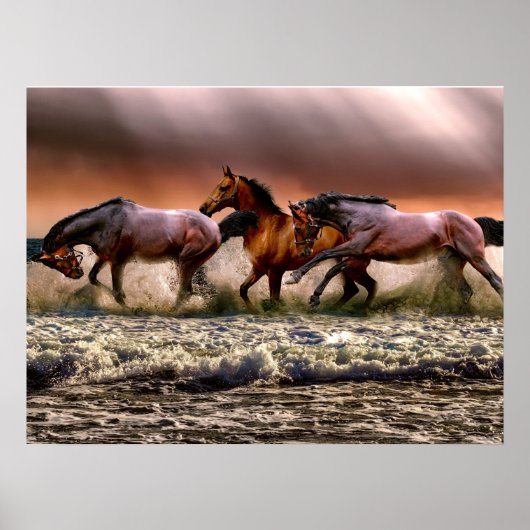 Paarden Stallion op Beach Foto Natuur Wall Poster (Voorkant)
