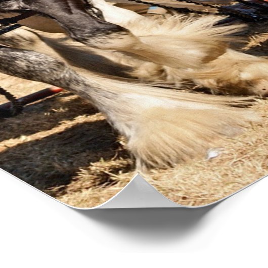 Paarden stromend veld poster (Hoek)