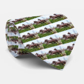 Paarden Stropdas (Opgerold)