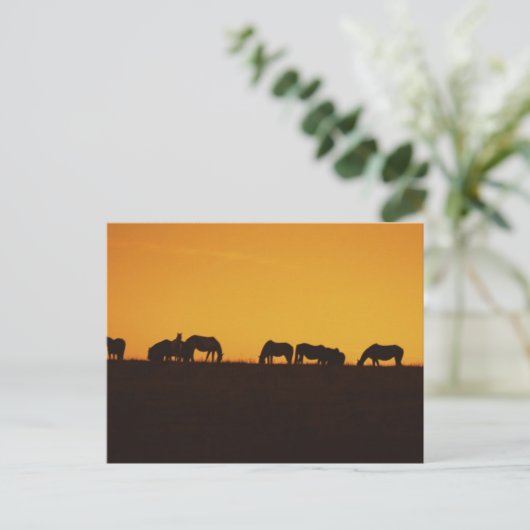 Paarden Sunset Silhouettes Briefkaart (Staand voorkant)