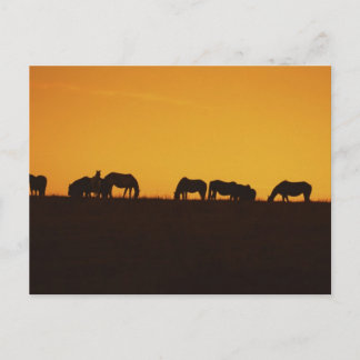 Paarden Sunset Silhouettes Briefkaart