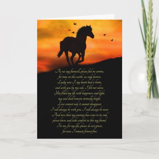 Paarden sympathie voor Spirituele gedicht Kaart (Voorkant)