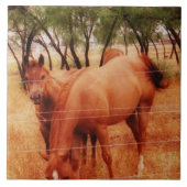 Paarden Tegeltje (Voorkant)