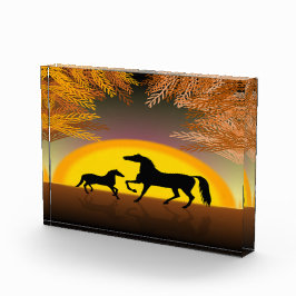 paarden tegen zonsondergang fotoblokken