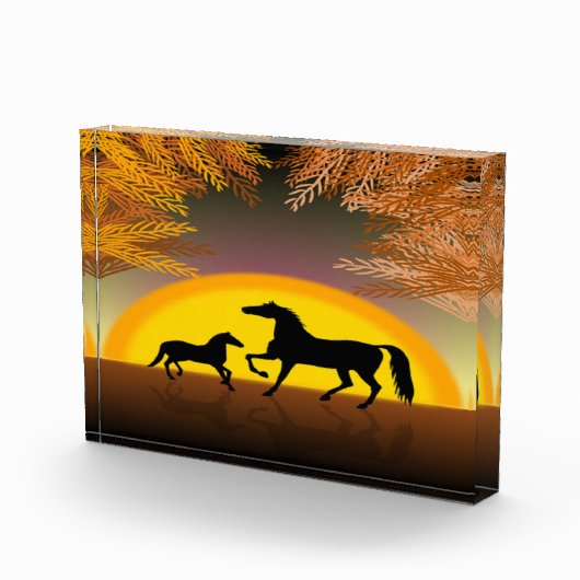 paarden tegen zonsondergang fotoblokken (Rechts)