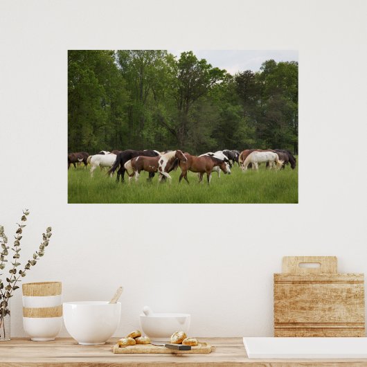 paarden, Tennessee Poster (Keuken)