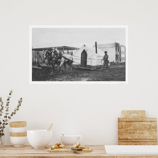 Paarden Tent Anchorage 1916 Poster (Keuken)